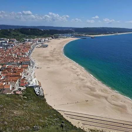 Daire Ananas&surf Local *