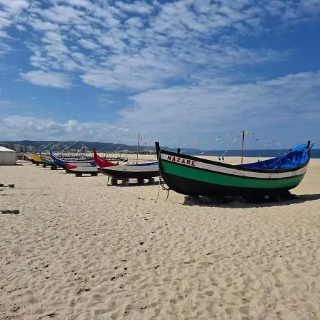 Ananas&surf Local Daire *